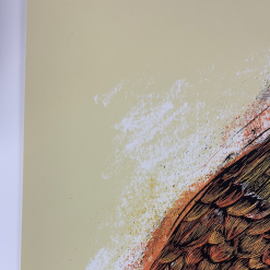 Gig Posters Ray Lamontagne - 2014 Dan Grzeca Poster Tucson, AZ Fox Theatre