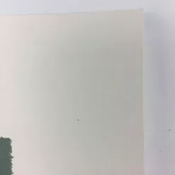 Summit - 2012 Justin Santora Poster Art Print