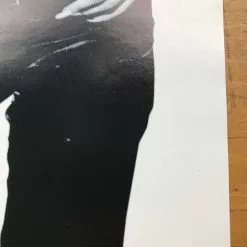 Sold Out Posters The Fags - Idol Records Original Poster Detroit, MI Dallas, TX Gig Posters