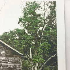 The Band Of Heathens - 2009 Dan MacAdam Crosshair Poster Austin, TX KLRU Studios