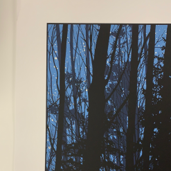 A Night In The Forest - 2010 Dan McCarthy Poster Art Print 10 A Night In The Forest - 2010 Dan McCarthy Poster Art Print