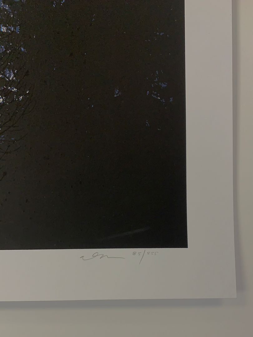 A Night In The Forest - 2010 Dan McCarthy Poster Art Print 7 A Night In The Forest - 2010 Dan McCarthy Poster Art Print