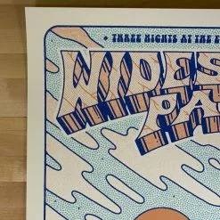 Gig Posters Widespread Panic - 2021 The Half And Half Poster Asheville, NC S/N