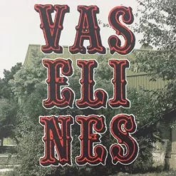 The Vaselines - 2009 Dan MacAdam Crosshair Poster Chicago, IL Metro