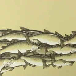 Art Prints Salmon Run - 2015 Justin Santora Poster Art Print