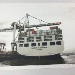 Flatstock Europe 4 - 2009 Dan MacAdam Crosshair Poster Hamburg, GER