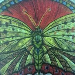 Wooden Resurrection Butterfly - 2013 Dan Grzeca Poster Art Print Art Prints
