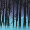 Ghost Pines - 2012 Dan McCarthy Poster Art Print Art Prints