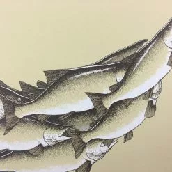 Art Prints Salmon Run - 2015 Justin Santora Poster Art Print