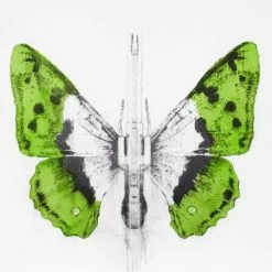 Art Prints 344 - 2014 Ludo Street Artist Butterfly Lithograph Poster